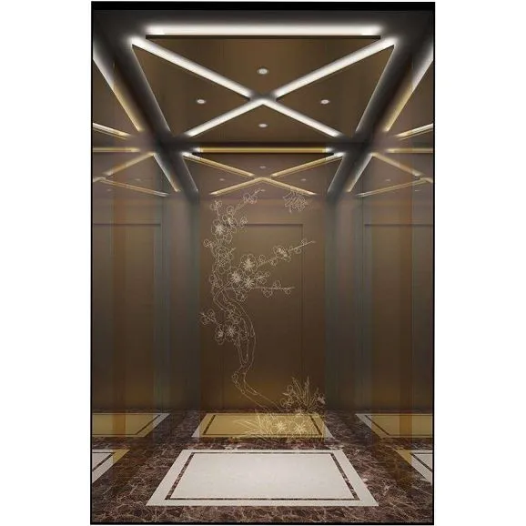 Passenger Elevator Indoor And Outdoor Use